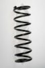 SPIDAN 56312 Coil Spring